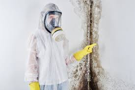 Why You Should Choose Our Mold Remediation Services in Oberlin, OH